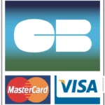 Paiement par carte bancaire master-card visa sticker/autocollant - ref 25032020_2